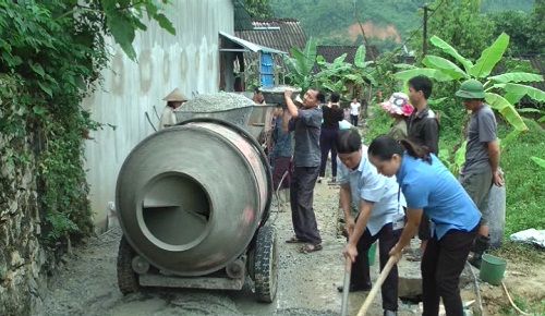 Tập huấn thụ tinh nhân tạo cho trâu tại xã Tân Thành