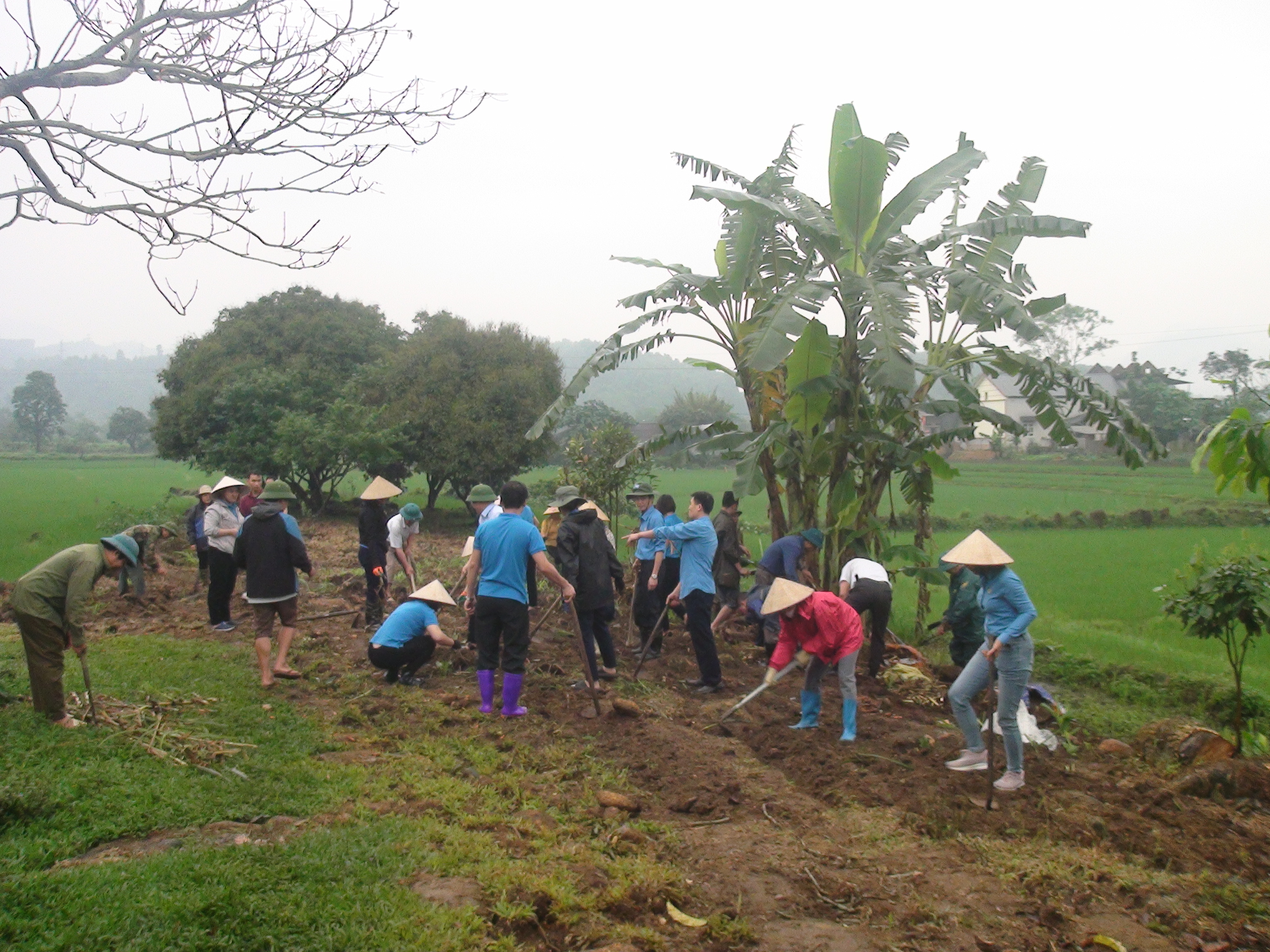 Liên Đoàn lao động Bắc Quang phát động cải tạo vườn tạp tại xã Tân Thành